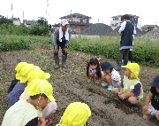 【ひよこ組】９月２７日(金)  お写真日記