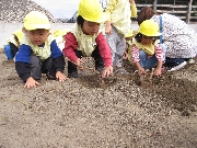 【ひよこ組】１０月２１日(月)  お写真日記