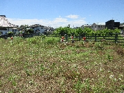 【たまご組】５月２９日(水)　お写真日記