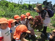 【たまご組】６月５日（水）　お写真日記