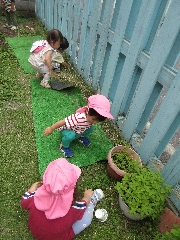 【どんぐり組】６月７日（金）　お写真日記