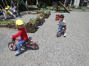 【ひよこ組】５月２２日(水)  お写真日記