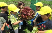 【ひよこ組】６月５日(水)  お写真日記