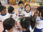 【もも組】６月２１日(金)　お写真日記