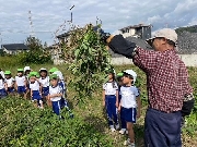 【食育・落花生収穫】１０月１７日（木）お写真日記