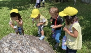 【ひよこ組】８月２日(金)  お写真日記